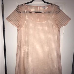 Jack by BB Dakota Blush Gingham Dress & Slip